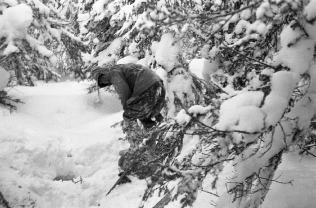 Ormana doru izlerin kaybolduunu farkeden aratrmaclar, neredeyse 1 mil tedeki ormanlk alana yneldi.              