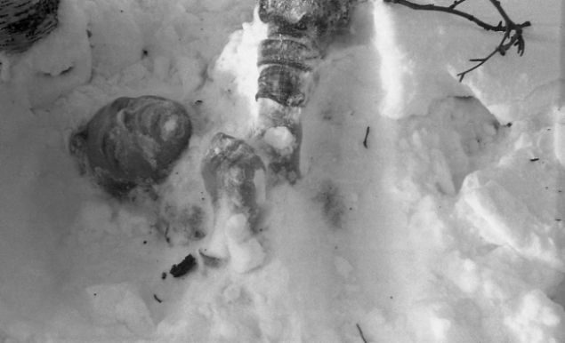 Olaydaki en korkun ceset ise Dubinina adl kadna aitti.           