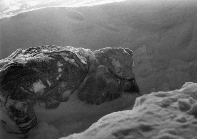 UZAYLILAR MI, GZL SOVYET SLAHI MI? <br>    Sr lmler zlemeyince insanlarn olayn faili olarak dnya d varlklar ve efsanevi yaratk 'yeti'nin bile yapm olabileceini konutu.        