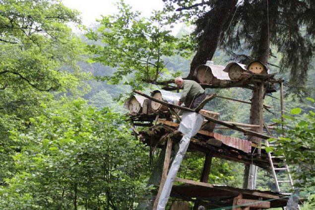 Kara kovanlardan elde edilen ballar ise youn sipari alyor, talepler karlanamyor.     