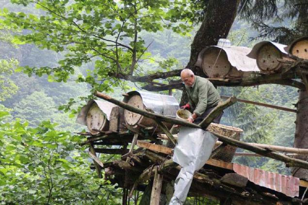 Aa dallarndaki kovanlardan salan organik kestane ve iek ballar, kilosu 600 liradan sata sunuluyor.      
