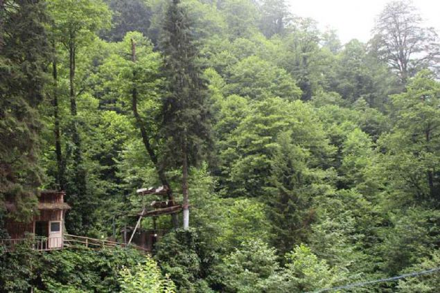 Bal retiminde ok fazla hile olabileceini syleyen Memolu,   