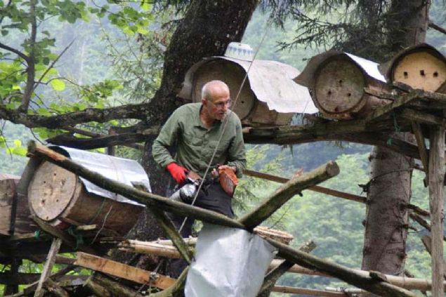 Fenni kovanlarda arnn retim yapabilmesi iin birok katk maddesi kullanlabiliyor, dardan mdahaleler yaplabiliyor.  