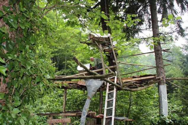 leri oyulup bir arnn girebilecei boluk braklan ktkler, ormanlk alandaki aa dallarna yerletiriliyor.      