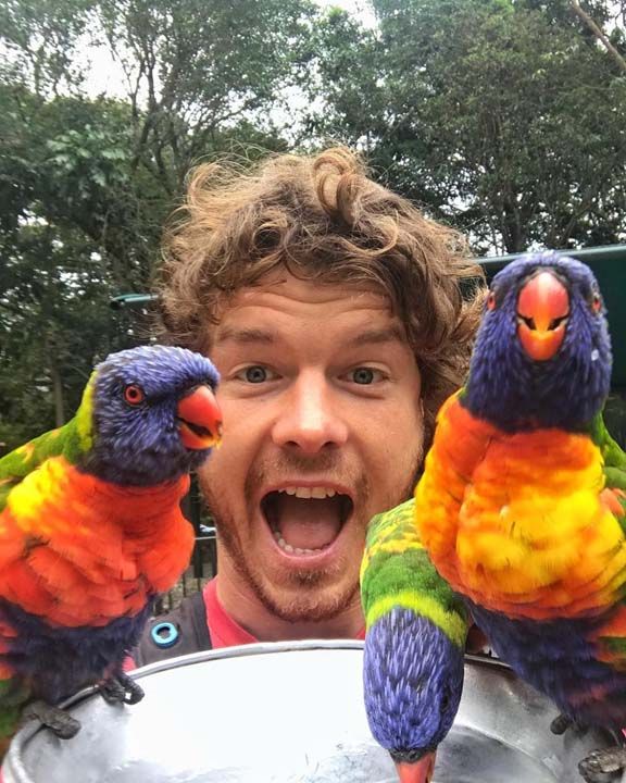 Dixon, bundan  sene nce Avustralya'nn 'En yi Meslei' yarmasna katlm ve birincilik elde etmiti.  