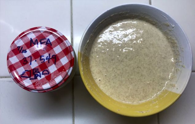 Ekip sterilize edilen mayay, organik tahllarla birletirdi ve zerine biraz su ile saf zeytinya ilave etti.  