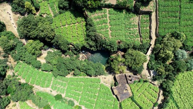 - l dndan da ziyaretiler arlyor  <br><br>  brahim Halil Sanar da anlurfa'dan arkadalaryla birlikte piknik yapmaya geldiini syledi. 