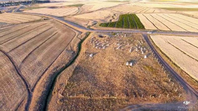 Arslan, Erzurum Mze Mdr Arkeolog Hsn Gen'e ve kaz almalarnda yer alan arkeologlara teekkr etti. 