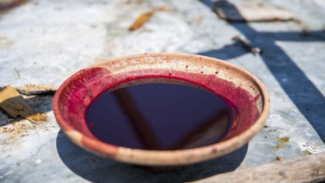 Yaklak bir hafta bu ekilde bekletilen ra, scan etkisiyle kvam kazanarak pekmez halini alyor. 