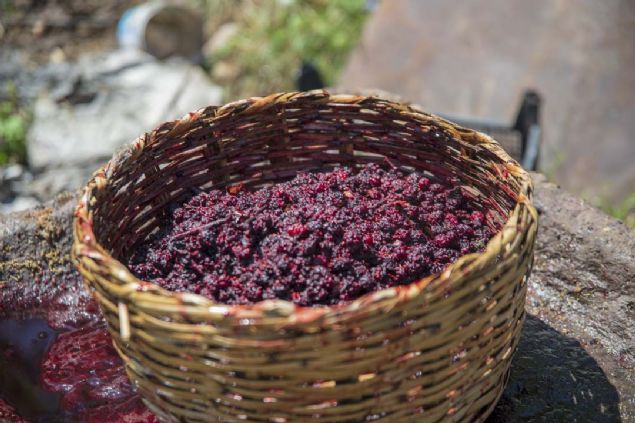 Tekrar kaynatlan ra, tepsilere dklerek gnete braklyor.  