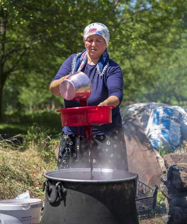 Pekmez yapan Glzade Kondu ise karadut hasadnn temmuz bandan austosun ilk haftasna kadar devam ettiini belirtti. 