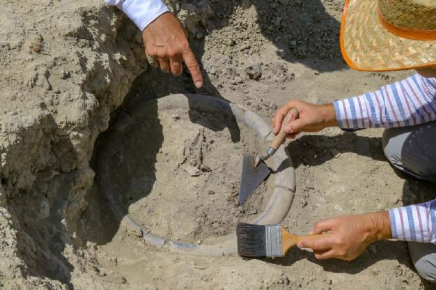 Di talarnn iindeki mikroorganizmalar izole ederek, elektron mikroskop ile inceleyeceklerini anlatan Gdcolu,   <br><br>  u bilgileri verdi: 'Kiilerin beslenme alkanlklar, lm nedenleri ve yaadklar bir takm mikroorganizmalara dayanan hastalklar burada belli olacak. nk di, kiide bulunacak mikroorganizmalarn younlat bir blge...   