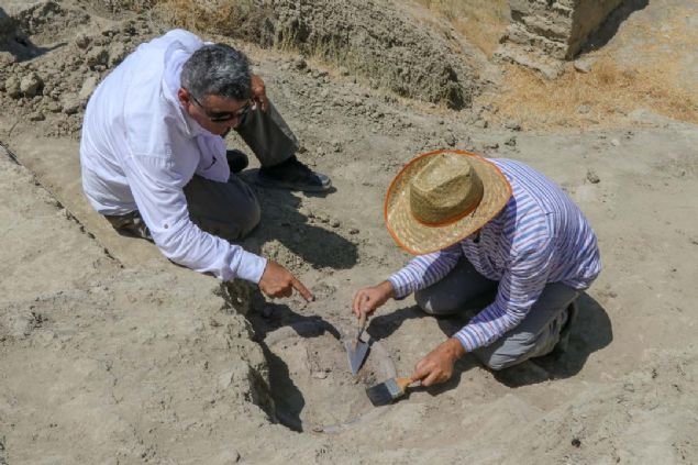 Urartu Kral II. Sarduri tarafndan milattan nce 750 ylnda yaptrlan avutepe Kalesi ve kuzey ksmndaki nekropol alannda, Van Yznc Yl niversitesi (YY) Edebiyat Fakltesi Arkeoloji Blm Bakan Prof. Dr. Rafet avuolu bakanlnda 22 kiilik ekiple yrtlen kaz almalar devam ediyor.      