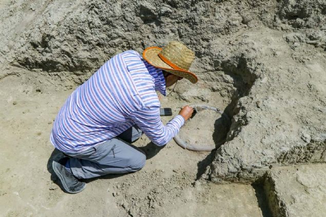 Az ve di salklarna bakyoruz. rk ve di anma durumunu belirliyoruz. Bu durumlarn cinsiyetler arasndaki farklln tespit ediyoruz...  