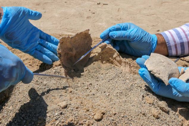 Tespit edeceimiz gemiteki mikroorganizmalar, gnmzdeki mikroorganizmalarn geliimindeki bir ok problemi aa karacak...    