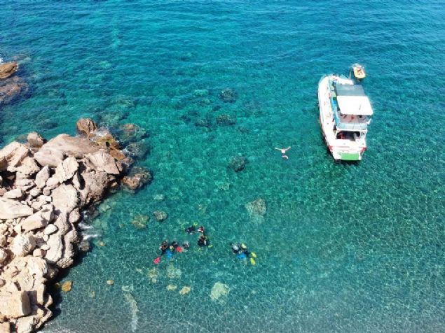 Konya, dal sezonunun haziran ay bandan ekim sonuna kadar srdn aktard.   