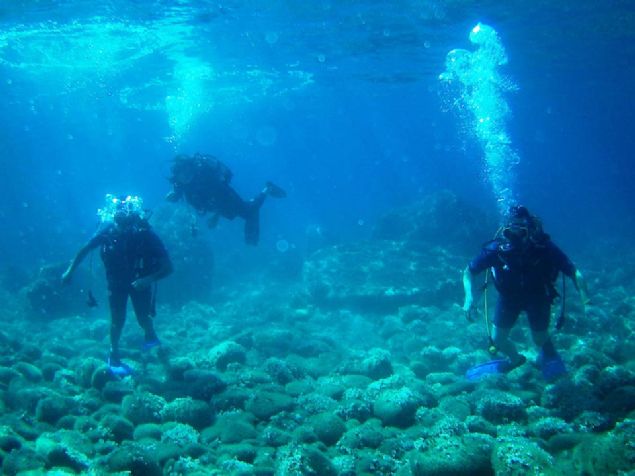 Selim Konya, dallar milli park blgesindeki parkurda yaptrdklarn belirtti. 