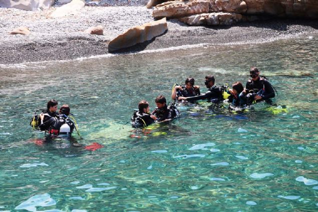 Bata stresli olduunu ancak daha sonra ok elendiini dile getiren Koyuncu, 'Olduka elenceli oldu. Tekrar yaparm diyebilirim. Gzel bir tecrbeydi. Bence herkes denemeli nk ok elenceli.' ifadelerini kulland. 