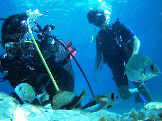 - 'Gzel bir tecrbeydi'  <br><br>  stanbul'dan tatil iin Gkeada'ya gelerek dal yapan Berra Koyuncu da ilk kez byle bir deneyim yaadn aktard. 