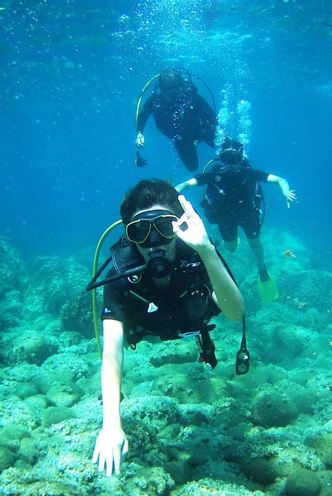Adaya gelen gelen dalclar, zellikle yerli dalclar buray ok beeniyorlar. Birok yerle kyasladklarnda burann daha iyi olduunu, su altnn daha renkli, daha canl olduunu sylyorlar. Daha ok stanbul arlkl dalclar. Ankara'dan da gelen arkadalar var. Dier illerden de gelenler oluyor.' diye konutu.    
