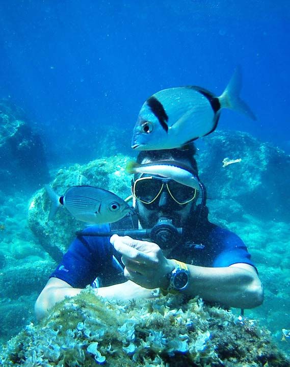 Adann denizinin bir baka zellii daha olduunu vurgulayan Konya, 'Burada su scakl dier blgelere yani yakn blgelerimize gre daha scak. Yaklak 2-3 derecelik bir fark var...  