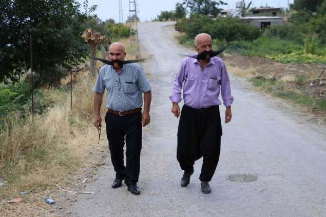 Arsuz ilesi Derekuyu Mahallesi'nde yaayan 63 yandaki evli ve 5 ocuk babas Mehmet Kurtulan, 39 yl nce byk brakmaya karar verdi.   <br><br>  Uzun yllar byn uzatan Kurtulan, bir gn ay demlerken ocakta bynn bir blmn yakt, kalp ameliyat olurken de byn kesmek zorunda kald.      