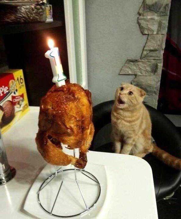 Sosyal medya kullanclar tarafndan en ok beenilen ve paylalan fotoraflar sizler iin derledik... 