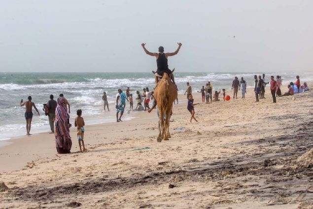 Burada ziyaretilere zel deve turlar da yaplyor. 