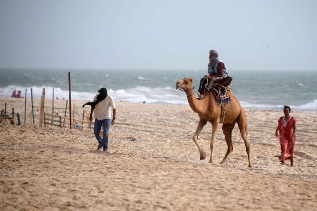 nsanlar gn iinde 40 dereceyi bulan scak havalarda, bakent Novakot sahillerine gelerek zaman geiriyor ve serinleme alyor.  