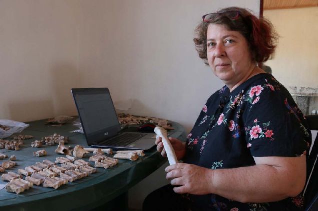 Do. Dr. Evangelia Pikin ise'Keilerin hem etinden hem derilerinden yararlandklarn dnrsek, kentin geim kaynanda keilerin nemli bir rol aldn anlyoruz' diye konutu.    