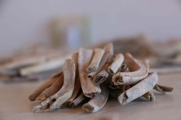 'Gnmzdeki kei rklar ile antik dnem rklar arasnda bir iliki olup olmadn anlamaya alacaz. O adan bu proje, bizim iin ok nemli. Belki nmzdeki yllarda sonulandnda, buradaki kei rknn zel rk olduunu ya da gnmzdeki rklarla balant olduunu renmi olacaz' dedi. 