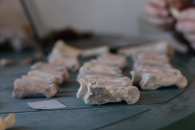 Kentin ismi Aigai. Aigai eski Yunanca'da kei demek. Yani kentin ad kei. sminin kei olmas aslnda bir anlam ifade ediyor. nk bulunduumuz Yuntda corafyas, kei yetitiricilii iin olduka uygun bir arazi.   <br><br>  Zaten burada herhangi bir tarmsal faaliyette bulunmak mmkn deil. Onun iin antik dnemde ekonomi tamamen kei zerine kurulmu...  