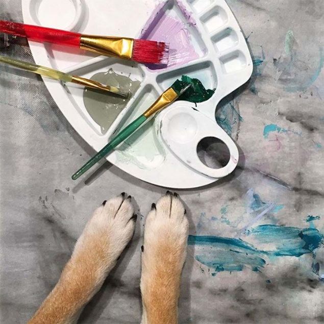 Hunter'n resimlerini satn almak isteyenler kt. 