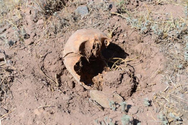 Kapatma esnasnda yan taraftan toprak alrken ko balar kt. Biz de gereken yerlere haber verdik, geldi ilgilendiler.' dedi.      