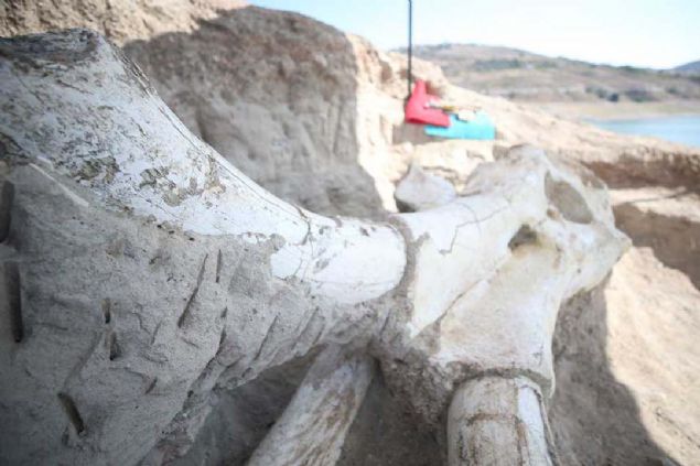 Mamuta ait olduu deerlendirilen fosillerin kente nemli katk salayacan belirten Bykkl, unlar kaydetti: 