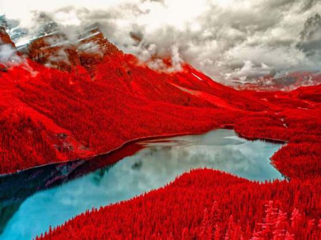 Alberta, Kanada  <br><br>  Banff Mill� Park�'nda yer alan Peyto G�l�.    