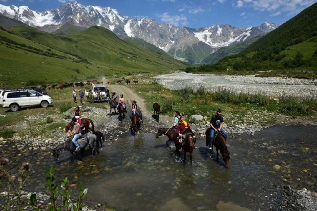 Diner, blgede bin yllk Svan kulelerinin younlukla grldne iaret ederek, unlar kaydetti:  