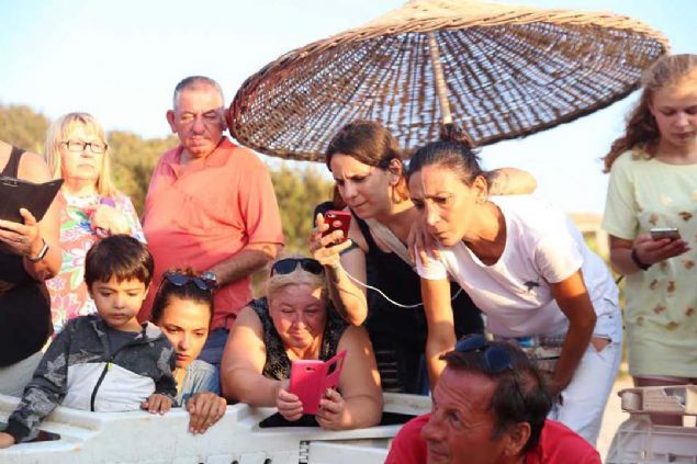 Kaplumbaalarn imdadna yetien Bodrum Belediyesi meclis yesi Tamer Mandalinci, byle bir durumla ilk defa karlatklarn ifade etti.   <br><br>  Caretta carettalarn zarar grmesini istemeyen Mandalinci, Deniz Kaplumbaalar Aratrma, Kurtarma ve Rehabilitasyon Merkezi (DEKAMER) yetkilileri ile iletiime geti. Mandalinci, uzmanlardan ald bilgiler dorultusunda kaplumbaalarn denize ulamasn salad.   