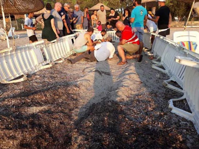 Mula'nn Bodrum ilesinde nesli tkenmekte olan caretta caretta yavrular ekipleri alarma geirdi.   <br><br>  Kaplumbaa yuvasn bulmak iin gelen ekipler grdkleri manzara karsnda ok oldu. Sahilde bulunan yerli ve yabanc turistler ise kaplumbaalarn fotoraflarn ekmek iin birbiriyle yart.    