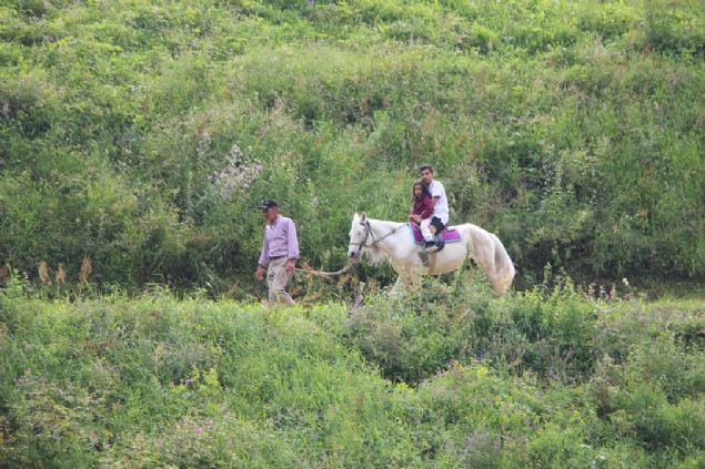 Hamsiky'n tescilli rn stlacyla da dnyada bir marka olduuna dikkati eken Kohan, bunun, blgeye ilgiyi artrdn kaydederek, yle devam etti:      