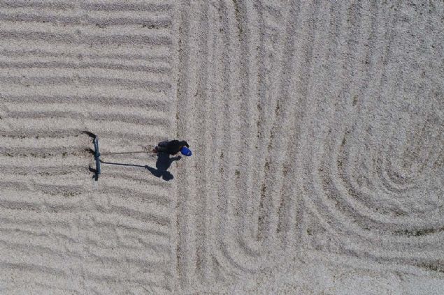 Trkiye'nin nemli ay ekirdei retim merkezlerinden Kayseri'de, 'emamer' ismiyle de anlan rnn tarladaki kurutulma sreci 35-40 dereceyi bulan scak havada yaplyor. 