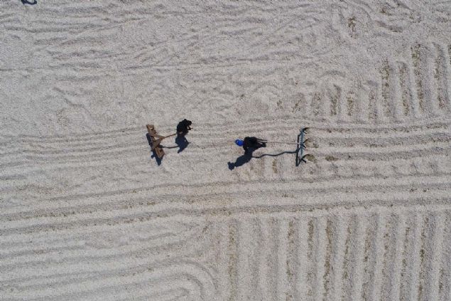 ifti Hanifi Ylmaz da scak havada bir yllk emeklerinin sonucunu almak iin altklarn, gnein altnda yaklak bir hafta zorlu mesai harcadklarn ifade etti. 