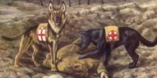 Kpekler antik alardan beri her zaman insanolunun yannda oldular, buna savalar da dahildi. zellikle Hun mparatoru Atilla, savalarda zel eitimli kpekleri kullanan liderlerin banda geliyor. 