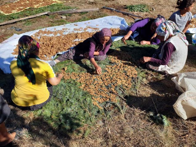 K�� mevsiminde sofralar�n�n vazge�ilmez tad� tarhana i�in �ukuroval� kad�nlar imece usul� haz�rl�klar�na ba�lad�.   