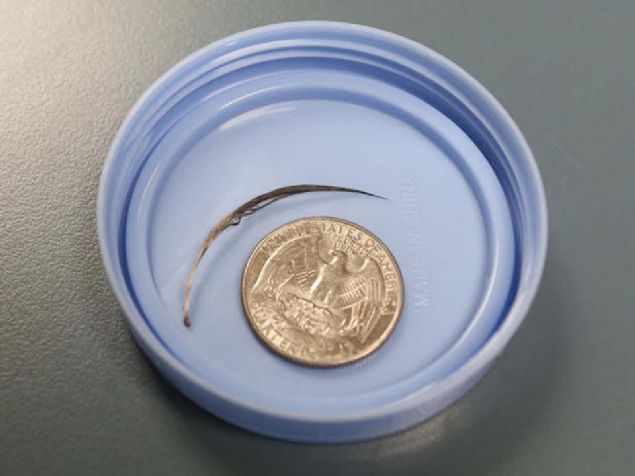 Aile ise doktorlarn syledikleri karsnda iyice ok olmular ve ilk i olarak kk bebeklerinin yastn deitireceklerini sylemilerdir.  