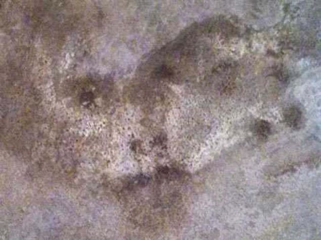 Fakat gn getike gelierek sonunda Mara'nn karsnda duvarda kendisine bakan bir insan yz ekillenmiti.   <br><br>  lk zamanlar Mara, bunun kendi hayal gcnn bir aldatmacas olduuna inanmt. Yazn geirmi olduu sebepsiz yksek ate hastalnn bir sonucu ve kalnts olduunu dnyordu.  <br><br>  Fakat zaman getike resim daha netleiyor ekspresyonist bir yz resmi eklinde gzkyordu. Yznde hznl ve zntl bir ifade vard.             