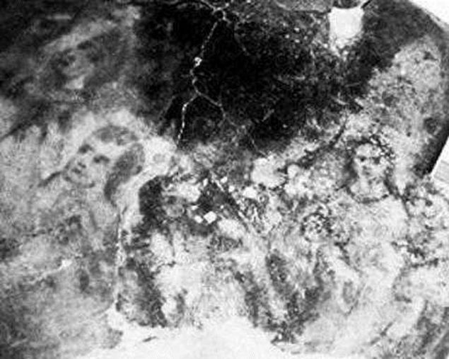 Aratrmalar srerken, insan yz resimleri arasnda sadece kol, el, boyun fotoraflar da belirmeye balamt.  <br><br>  Onlar da fotoraflandlar. Bu arada yeni bir olay, Pereira'larn evindeki aratrmalar yeni bir safhaya soktu.   <br><br>  Bender'in ifadesine gre mutfakta eilmi resmin bir tanesini incelerken birden resmin yz ifadesinde bir deiiklik olmu ve sanki bakt resimdeki insan yz kendisine muzip bir tebessm etmi gibi bir ifadeye brnm, ayn anda da arkasndan bir elin onu ensesinden drttn hissetmiti.   <br><br>  Bu ksa zaman zarfnda arka arkaya drt kere olmu, arkasna dnen Bender, birden bir glgenin sanki ortadan kaybolduunu hissetmiti.      