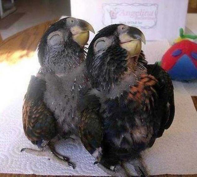 ite sizin iin setiimiz o keyifli anlar... 