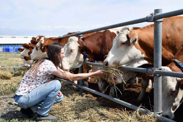 Dnyann br ucu olarak nitelendirilen Gney Yarm Kre'deki Avustralya'nn Quennsland ehrine bal Stanthorpe kasabasnda muhasebecilik yapan Dunn, masa ba iinden sklnca dnyann farkl lkelerini gezmeye karar verdi.     