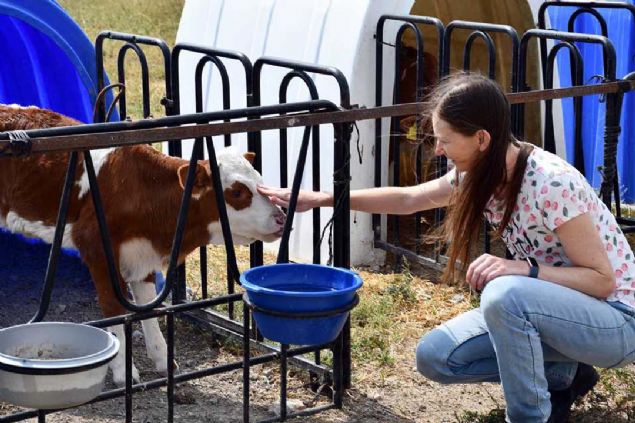 Barnma ve yemek ihtiyac iftlik sahiplerince karlanan Dunn, iftlikte bykba hayvanlar ile damzlk buzalarn bakm, yemlenmesi ile bahe ilerini yapyor.     